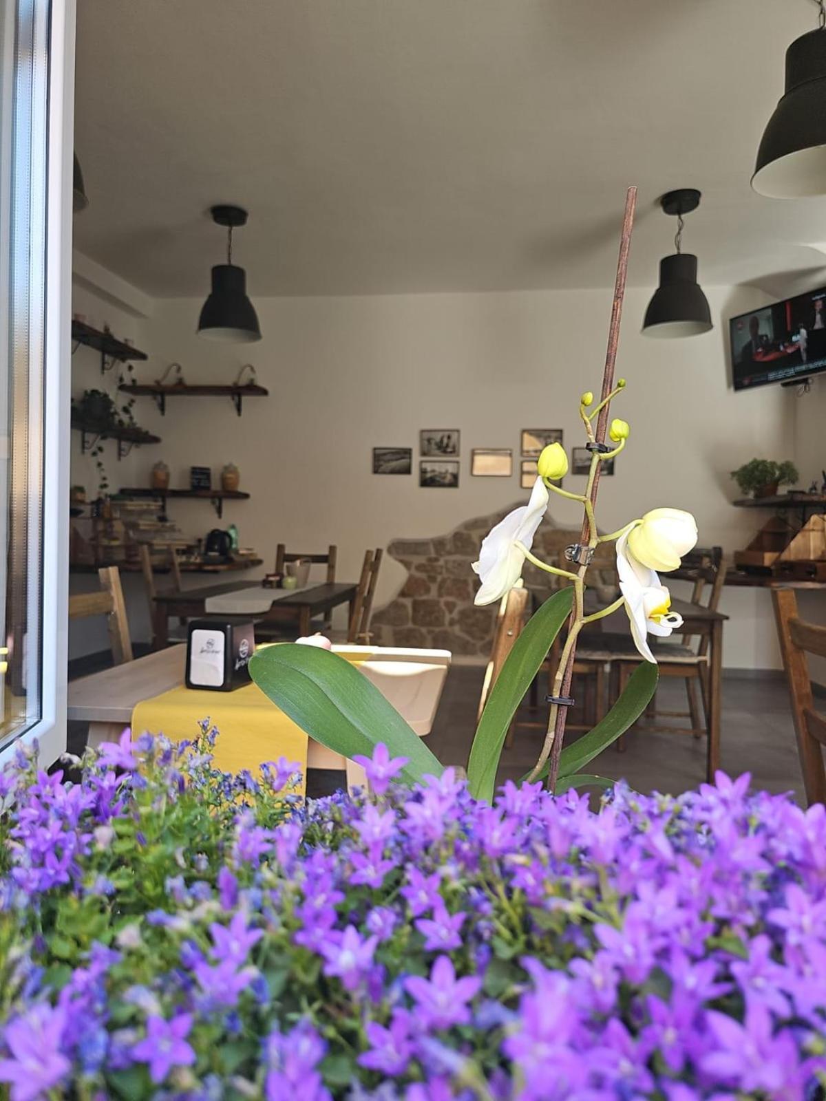 Il Busciolotto Hotell Santa Teresa Gallura Exteriör bild